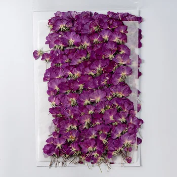 250pcs Pritisnete Posušen Cvet Purple Rose Herbarij Za Obraz Make UP Nail Art Nakit Zaznamek Primeru Telefon Kartico DIY
